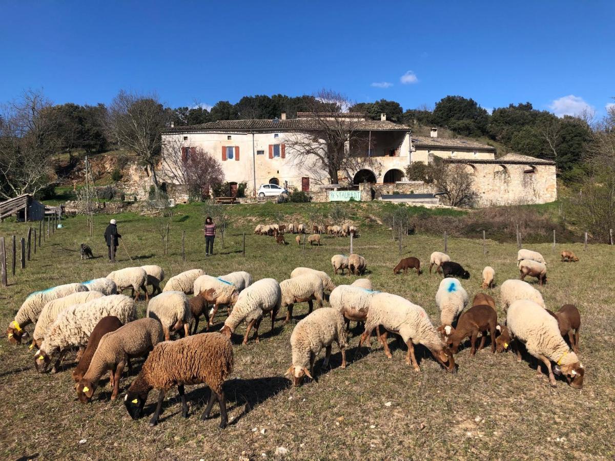 Gites La Ferme Accrochee A La Colline Лагорс Экстерьер фото